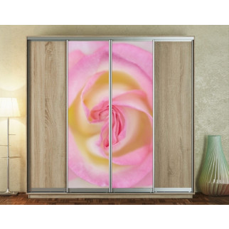 Наклейка на шафу-купе 220 х 60 см на 2 двері  рожева троянда (БП_а_fl13158) - Інтернет-магазин спільних покупок ToGether