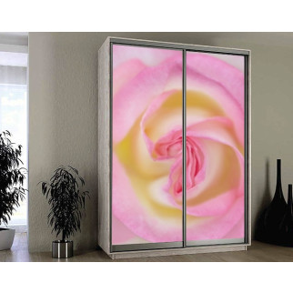 Наклейка на шафу-купе 220 х 74 см на 2 двері  рожева троянда (БП_а_fl13158) - Інтернет-магазин спільних покупок ToGether