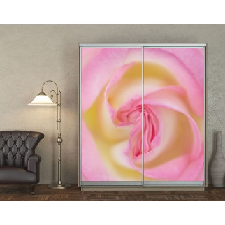 Наклейка на шафу-купе 220 х 102 см на 2 двері  рожева троянда (БП_а_fl13158) - Інтернет-магазин спільних покупок ToGether
