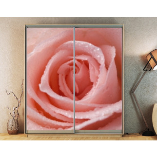 Наклейка на шафу-купе 220 х 102 см на 2 двері  рожева троянда (БП_а_fl13387) - Інтернет-магазин спільних покупок ToGether