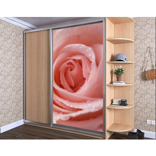 Наклейка на шафу-купе 220 х 102 см на 1 двері  рожева троянда (БП_с_fl13387) - Інтернет-магазин спільних покупок ToGether