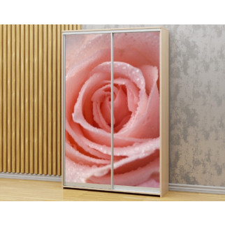 Наклейка на шафу-купе 220 х 60 см на 2 двері  рожева троянда (БП_а_fl13387) - Інтернет-магазин спільних покупок ToGether