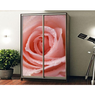 Наклейка на шафу-купе 220 х 74 см на 2 двері  рожева троянда (БП_а_fl13387) - Інтернет-магазин спільних покупок ToGether