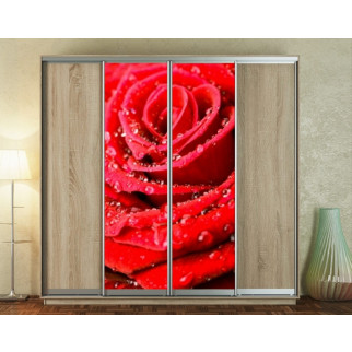 Наклейка на шафу-купе 220 х 60 см на 2 двері  Червона троянда (БП_а_fl13417) - Інтернет-магазин спільних покупок ToGether