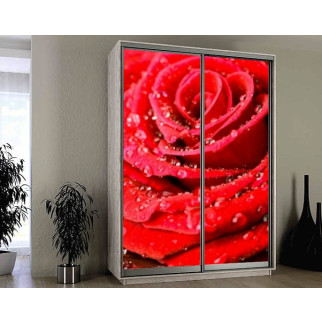 Наклейка на шафу-купе 220 х 74 см на 2 двері  Червона троянда (БП_а_fl13417) - Інтернет-магазин спільних покупок ToGether