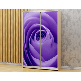 Наклейка на шафу-купе 220 х 60 см на 2 двері  Фіолетова троянда (БП_а_fl13145) - Інтернет-магазин спільних покупок ToGether