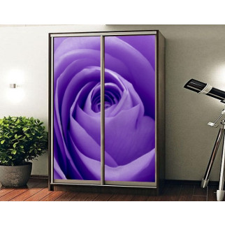 Наклейка на шафу-купе 220 х 74 см на 2 двері  Фіолетова троянда (БП_а_fl13145) - Інтернет-магазин спільних покупок ToGether