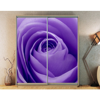 Наклейка на шафу-купе 220 х 102 см на 2 двері  Фіолетова троянда (БП_а_fl13145) - Інтернет-магазин спільних покупок ToGether