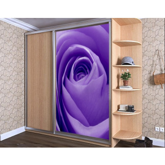Наклейка на шафу-купе 220 х 102 см на 1 двері  Фіолетова троянда (БП_с_fl13145) - Інтернет-магазин спільних покупок ToGether