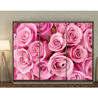 Наклейка на шафу-купе 220 х 102 см на 3 двері  рожеві троянди (БП_в_fl13167) - Інтернет-магазин спільних покупок ToGether