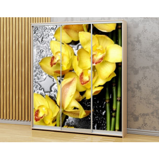 Наклейка на шафу-купе 220 х 60 см на 3 двері  Жовті орхідеї (БП_в_fl13221) - Інтернет-магазин спільних покупок ToGether