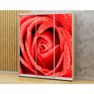 Наклейка на шафу-купе 220 х 60 см на 3 двері  Червона троянда (БП_в_fl13661) - Інтернет-магазин спільних покупок ToGether