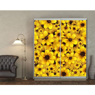 Наклейка на шафу-купе 220 х 102 см на 2 двері  жовті квіти (БП_а_pol_fl169) - Інтернет-магазин спільних покупок ToGether