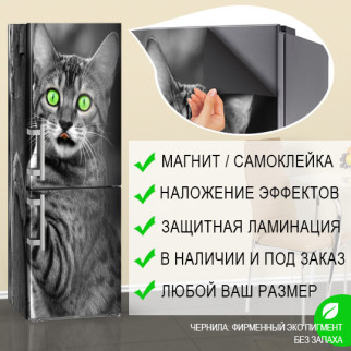 Самофіксувана наклейка на холодильник магнітна з кішкою 180 х 60 см, Лицьова - Інтернет-магазин спільних покупок ToGether