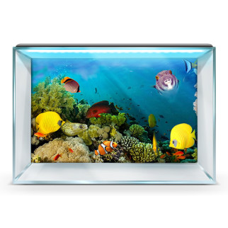 Наклейка в акваріум 3D морське дно, у різних розмірах 40х65 см. - Інтернет-магазин спільних покупок ToGether
