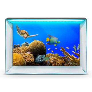 Підводний світ в акваріум-наклейка, у різних розмірах 40х65 см. - Інтернет-магазин спільних покупок ToGether