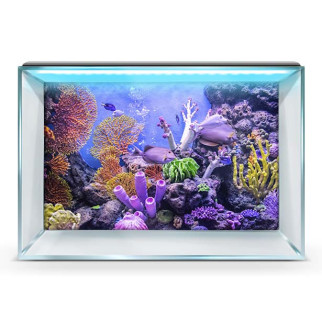 Підводний світ в акваріум-наклейка, у різних розмірах 40х65 см. - Інтернет-магазин спільних покупок ToGether