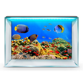 Морська фауна на наклейці в акваріум, у наявності та під замовлення 40х65 см. - Інтернет-магазин спільних покупок ToGether