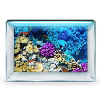 Наклейка в акваріум 3D морське дно, у різних розмірах 40х65 см. - Інтернет-магазин спільних покупок ToGether