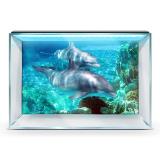 Морська фауна на наклейці в акваріум, у наявності та під замовлення 40х65 см. - Інтернет-магазин спільних покупок ToGether