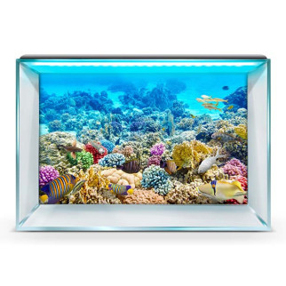 Морське дно-наклейка в акваріум 40х65 см. - Інтернет-магазин спільних покупок ToGether