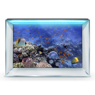 Наклейка морського дна з рибами в акваріум 45х75 см. - Інтернет-магазин спільних покупок ToGether