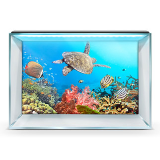 Акваріумний декор підводним світом 40х65 см. 45 х 75 см, 750, 450 - Інтернет-магазин спільних покупок ToGether