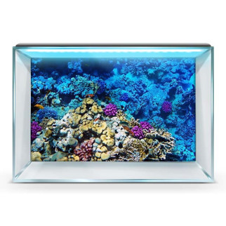 Морське дно-наклейка в акваріум 40х65 см. 50 х 85 см, 850, 500 - Інтернет-магазин спільних покупок ToGether