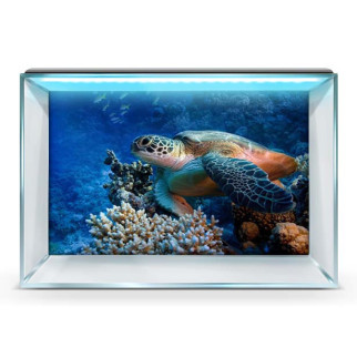 Наклейка з рибами та морською флорою для акваріума 40х65 см. 60 х 100 см, 1000, 600 - Інтернет-магазин спільних покупок ToGether