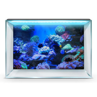 Флора морська наклейка в акваріум 75 х 125 см - Інтернет-магазин спільних покупок ToGether