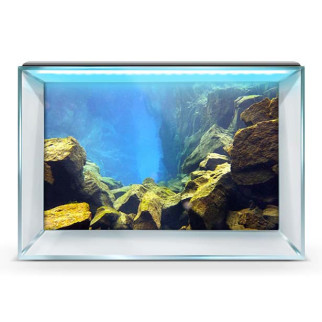 Флора морська наклейка в акваріум 40х65 см. 50 х 85 см, 850, 500 - Інтернет-магазин спільних покупок ToGether