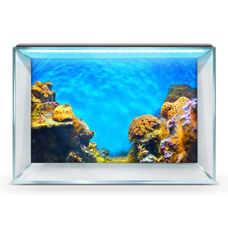 Підводний світ в акваріум-наклейка, у різних розмірах 40х65 см. 45 х 75 см, 750, 450 - Інтернет-магазин спільних покупок ToGether