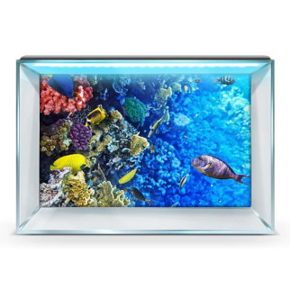 Підводний світ в акваріум-наклейка, у різних розмірах 40х65 см. 65 х 110 см, 1100, 650 - Інтернет-магазин спільних покупок ToGether