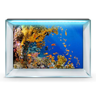 Морський світ під водою на наклейці для акваріума 40х65 см. 45 х 75 см, 750, 450 - Інтернет-магазин спільних покупок ToGether