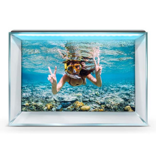Морська фауна на наклейці в акваріум, у наявності та під замовлення 40х65 см. 50 х 85 см, 850, 500 - Інтернет-магазин спільних покупок ToGether