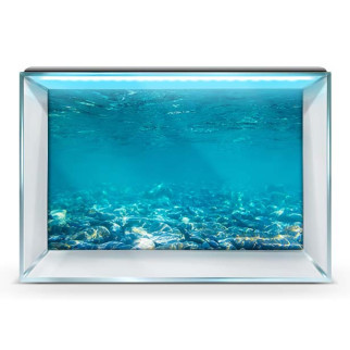 Підводний світ в акваріум-наклейка, у різних розмірах 40х65 см. 50 х 85 см, 850, 500 - Інтернет-магазин спільних покупок ToGether