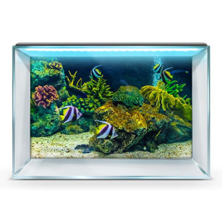 Морський світ під водою на наклейці для акваріума 40х65 см. 45 х 75 см, 750, 450 - Інтернет-магазин спільних покупок ToGether