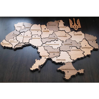 Панно 3D декоративне мапа України, з об'ємом 14 мм для стін, 40 х 28 см у 3 розмірах 63, 90 - Інтернет-магазин спільних покупок ToGether