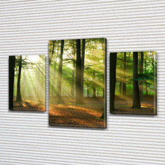Картина Ранок у лісі, на Холсті син., 45х70 см, (30x20-2/45x25) ПВХ тканина, 60, 90 - Інтернет-магазин спільних покупок ToGether