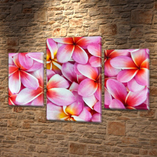 Модульна триптих картина Рожеві квіти, на ПВХ тканини, 45х70 см, (30x20-2/45x25) - Інтернет-магазин спільних покупок ToGether