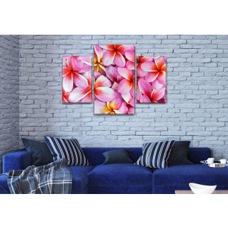 Модульна триптих картина Рожеві квіти, на ПВХ тканини, 45х70 см, (30x20-2/45x25) Холст нат., 80, 120 - Інтернет-магазин спільних покупок ToGether