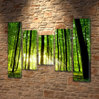 Модульна картина Ранок у лісі, на ПВХ тканини, 80x100 см, (80x18-2/55х18-2/40x18) - Інтернет-магазин спільних покупок ToGether