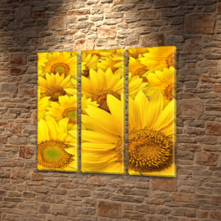 Модульна картина Поле соняшників, на ПВХ тканини, 65x65 см, (65x20-3) - Інтернет-магазин спільних покупок ToGether