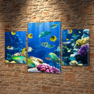 Картина на полотні модульні Підводний світ купити в інтернет-магазині картин, 45х70 см, (30x20-2/45x25) - Інтернет-магазин спільних покупок ToGether