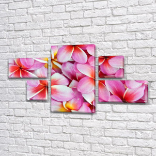 Модульна картина Рожеві квіти Холсте син., 60x110 см, (18x35-2/18х18-2/60x35) - Інтернет-магазин спільних покупок ToGether