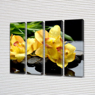 Картина модульна Жовті Орхідеї на Холсті син., 65x80 см, (65x18-4) - Інтернет-магазин спільних покупок ToGether
