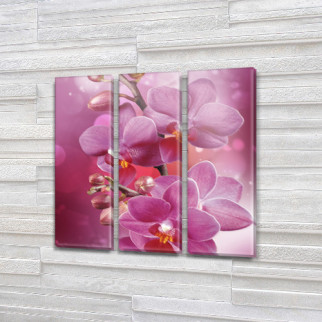 Картина триптих на полотні Казкова орхідея на Холсті син., 65x65 см, (65x20-3) ПВХ тканина, 65, 65 - Інтернет-магазин спільних покупок ToGether
