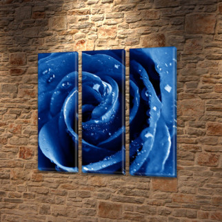 Триптих картина Синя Троянда купити в трьох розмірах на Холсті син., 65x65 см, (65x20-3) ПВХ тканина, 65, 65 - Інтернет-магазин спільних покупок ToGether