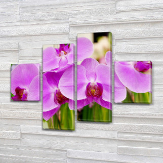 Модульна картина Фіолетові орхідеї на ПВХ тканини, 85x110 см, (35x25-2/75х25-2) - Інтернет-магазин спільних покупок ToGether