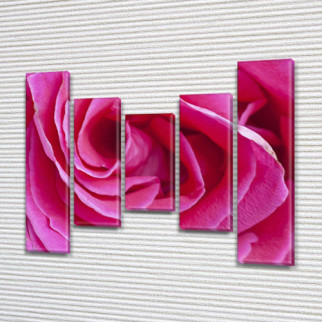 Модульна картина Троянда рожева на ПВХ тканини, 90x110 см, (90x20-2/60х20-2/45x20) - Інтернет-магазин спільних покупок ToGether
